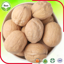 Good Price and Highly Nutritive Walnuts for Sale